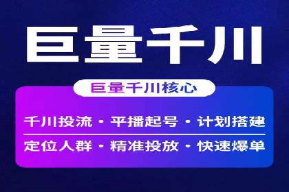 SEM托管公司案例分析：实战技巧全解析